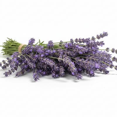 Lavender Essential Oil