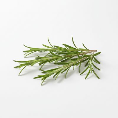 Rosemary Essential Oil